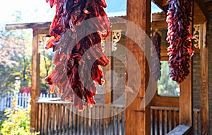 Traditional New Mexico Chili Ristra`s