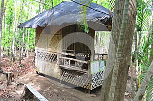 Traditional nipa house in the Philippines.