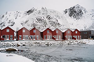 Traditional Norwegian fisherman`s cabins, red rorbuer, Hamnoy, Lofoten Norway.