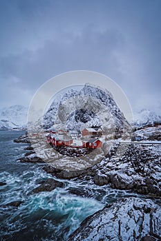 Traditional Norwegian fisherman`s cabins, rorbuer, island of Hamnoy, Reine .