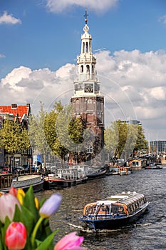 Traditional old buildings and boat on canal against colorful tulips in Amsterdam, Netherlands