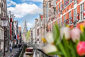 Traditional old buildings and boat on canal against colorful tulips in Amsterdam, Netherlands