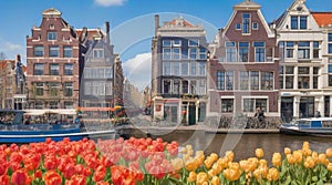 Traditional old buildings and tulips in Amsterdam a cenic view