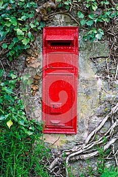 Traditional old English red postbox mounted in stone wall surrounded by ivy.