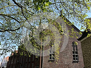 Traditional old-fashioned brick building in Minnewater park area in Brugge, Belgium, on spring sunny day