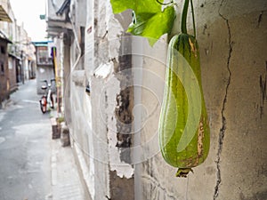 Traditional old neighborhood in Tianjin French concession