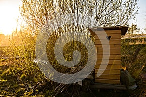 Traditional old wooden outhouse in the garden in summer