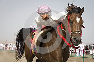 Traditional omani horse race