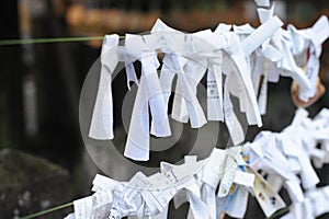 Traditional omikuji white paper with fortune telling with kanji symbols knotted to a rope at shinto shrine in Japan