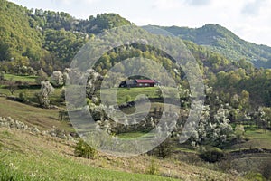 Traditional peasant household from the Banat mountains, Romania