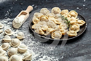 Traditional pelmeni, ravioli, dumplings filled with meat on plate, banner, menu, recipe place for text, top view