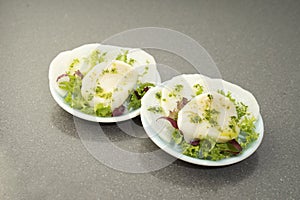 Traditional Peruvian gourmet ceviche inkfish filet piece with coriander in lime juice closeup on two plates