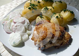 Traditional Polish dish 2