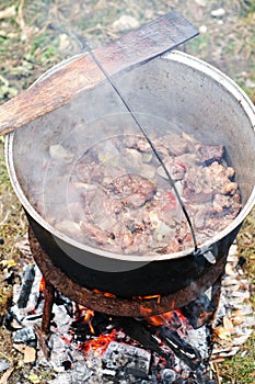 Traditional pork stew