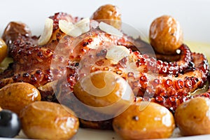 Traditional portuguese dish octopus photo