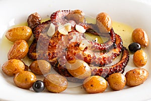 Traditional portuguese dish octopus with potato photo