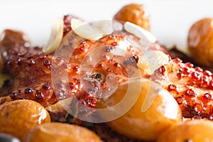 Traditional portuguese dish octopus with potato photo