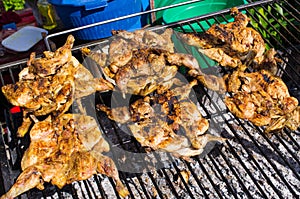 Traditional portuguese piri piri chicken on the BBQ photo