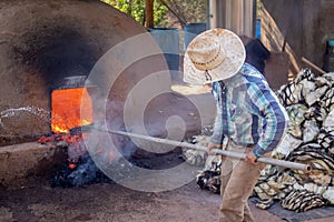 Traditional process of preparing raicilla. photo