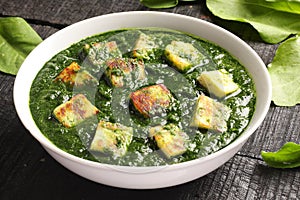 Traditional Punjabi Palak paneer dish