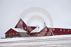 A traditional red barn situated on a snow-covered rural farm near a road in Toten, Norway