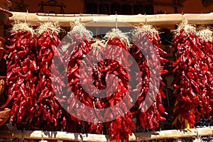 Traditional red chili ristras hanging in open air
