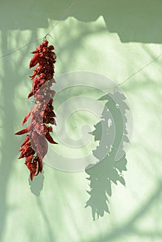 Traditional red chili ristras hanging in open air