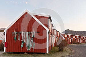 Traditional red fishermen huts in Lofoten, Norway on a crisp autumn morning