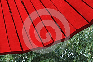 Under an umbrella in Japan pavilion at Epcot photo