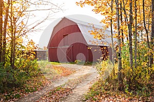 Driveway to a red wooden barn in the countryside of New England on a sunny autumn day