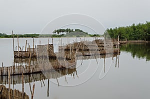 Traditional reed fishing traps used in wetlands near the coast in Benin.