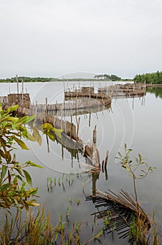 Traditional reed fishing traps used in wetlands near the coast in Benin.