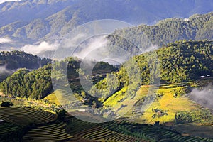 Traditional rice terrace fields in Mu Cang Chai to SAPA region Vietnam