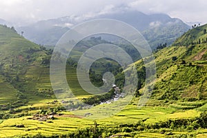 Beautiful rice terrace field on hill in Northern Vietnam