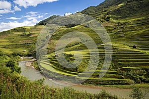 Beautiful rice terrace field on hill in Northern Vietnam