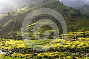 Beautiful rice terrace field on hill in Northern Vietnam