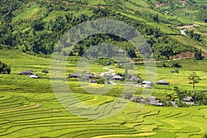 Traditional rice terrace fields in Mu Cang Chai to SAPA region Vietnam