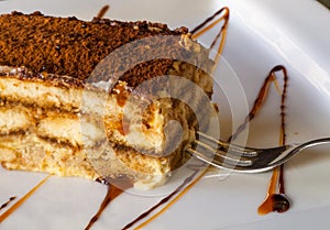 Traditional rich tiramisu cake with cinnamon, cara