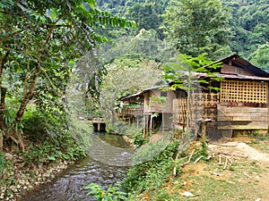 A Traditional Riverside Local House in the forest, Travel in Van