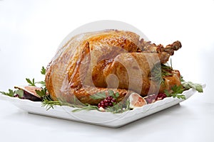 Traditional Roasted Turkey on White