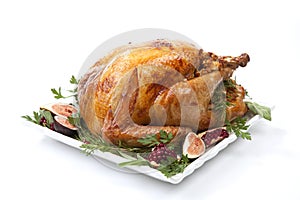 Traditional Roasted Turkey on White