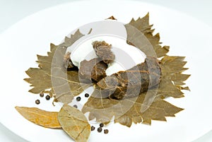 Traditional romanian and balkanic dish minced meat wrapped in vine leafs served with cream on a white plate photo