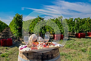 Traditional Romanian food plate with wine and vineyards in the b