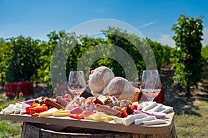 Traditional Romanian food plate with wine and vineyards in the b