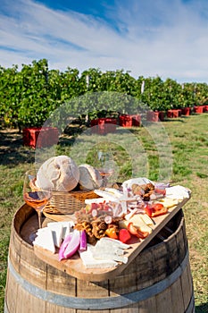 Traditional Romanian food plate with wine and vineyards in background