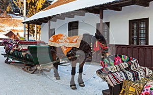 Traditional Romanian Sledge with Horse