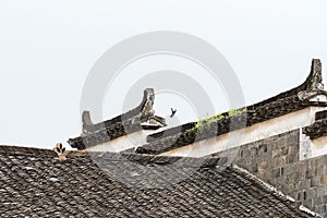 Traditional roof of ancient building