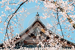 Traditional roof and cherry blossoms at Toji temple in Kyoto, Japan