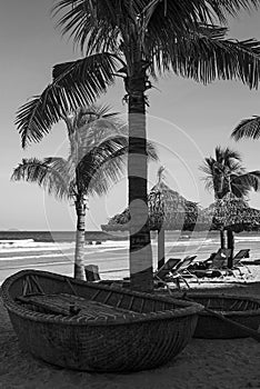 Traditional round Vietnamese boats and palm trees on Danang beach