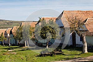 Traditional row of houses along the road